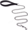 CtopoGo - Correa de metal para perro con asa acolchada para perros grandes y medianos - BESTMASCOTA.COM