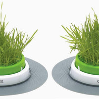 Catit - Maceta con follaje Senses 2.0 - BESTMASCOTA.COM