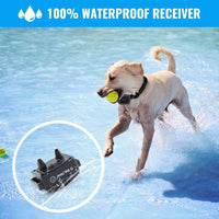 Petrainer 620 Collar de entrenamiento para perro, impermeable, recargable, con control remoto, de 1000 pies, con vibración de pitido, collar de choque eléctrico para perros (10-100 libras) - BESTMASCOTA.COM