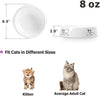 YHY Cuenco de cerámica para comida de gatos, 283 ml, no deslizante, cuenco para comida de gato, ancho y espeso, diseño elegante, color blanco, 6.5 pulgadas - BESTMASCOTA.COM