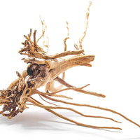 Artes Acuático 1 pieza pequeña de madera Aka Azalea Acuario Natural Driftwood de araña, 6 – 9" - BESTMASCOTA.COM