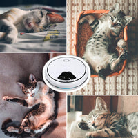 TDYNASTY Design - Alimentador automático para gatos, dispensador de alimentos para perros y gatos, alimentador para gatos hasta 5 comidas por día - BESTMASCOTA.COM