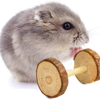 Wobe - Juego de 8 juguetes de chinchilla para ratas, conejos, conejos, gerbil y molar, de madera natural, pino de pino, para hacer ejercicios, pelotas de mascotas pequeñas - BESTMASCOTA.COM