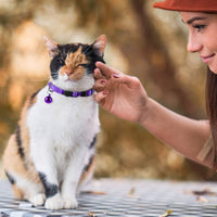 Numal cachorro ID collares para perros y gatos juego de, 12 piezas hecho de Super suave de nylon y cierre de seguridad Ideal para forro polar Identificación con tabla de registros - BESTMASCOTA.COM