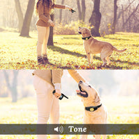 Peteme Dog Training Shock Collar Rechargeable with Beep/Vibra/Electric Shock,100% Waterproof, 1200 ft Remote Trainer Range Collar for Small Medium Large Dogs. - BESTMASCOTA.COM