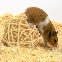 Wobe - Juego de 8 juguetes de chinchilla para ratas, conejos, conejos, gerbil y molar, de madera natural, pino de pino, para hacer ejercicios, pelotas de mascotas pequeñas - BESTMASCOTA.COM
