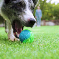 Pet President TPR LED Light Up and Squeaky 2.5 in Pet Ball Pet Supplies (2 unidades) - BESTMASCOTA.COM