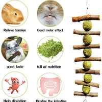 Juguetes para masticar los dientes, palitos de manzana orgánicas naturales para conejos, chinchillas, cobayas, hámsters masticando jugando mejorar la salud dental - BESTMASCOTA.COM