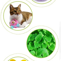 Jooee Catnip Cat Toys Mice,3pack - BESTMASCOTA.COM