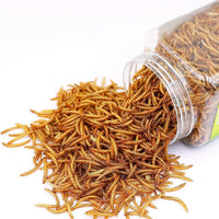 Sequoia Reptile Food Dried Mealworms Pet Worms Food for Bearded Dragon, Lizard, Turtles, Chameleon, Monitor, Frog, Sugar Glider, Chickens, Ducks, Wild Birds, Fish, Hamsters and Hedgehogs - BESTMASCOTA.COM