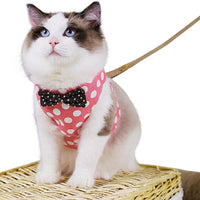 CROWNY Juego de arnés y correa para gato, sin tirones, a prueba de escape, chaleco para gato con lazo, lunares, chamarra fácil para caminar y correr - BESTMASCOTA.COM