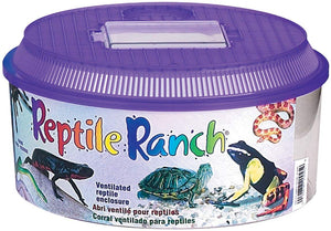 Lee del Reptil Ranch, Ronda w/tapa - BESTMASCOTA.COM