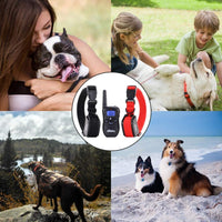 Shock Collar para perros pequeños con mando a distancia + Free de perro Clicker Entrenamiento – Clicker + collar = resultados más rápidos – 3 Modo (sonido golpes, Vibration & Choque) – Ahorrar Dinero con baterías recargables - BESTMASCOTA.COM