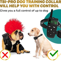 TBI Pro - Collar de entrenamiento profesional para perros con mando a distancia (1600 pies) - BESTMASCOTA.COM