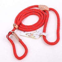 Correa Coolrunner collar de entrenamiento para mascota de Cesar el encantador de perros - BESTMASCOTA.COM