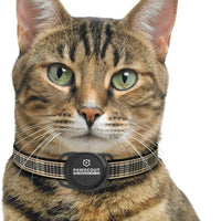 Pawscout - Registro inteligente para mascotas (Bluetooth, no GPS), perfil médico, correa virtual para mascotas al aire libre, rastreador de caminos, puntos de interés para mascotas, sin tasas mensuales - BESTMASCOTA.COM