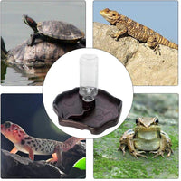 Tfwadmx - Botella de agua para reptiles, tortuga y cuenco de agua, alimentadores automáticos, dispensador de tortuga, dispensador de botella, plato de alimentación para camaleón lagarto - BESTMASCOTA.COM