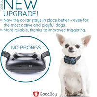GoodBoy - Collar pequeño para perros pequeños y medianos, resistente a la intemperie y vibrante, con dispositivo de entrenamiento antiladrillos que es el más pequeño y seguro en Amazon – ¡sin choques ni pinzas con pinchos! (6+ lb) - BESTMASCOTA.COM