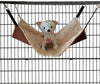 joyelf gato cama mascota Jaula Hamaca hamaca, Hanging suave mascota cama para gato hurón cachorro o mascota pequeña - BESTMASCOTA.COM