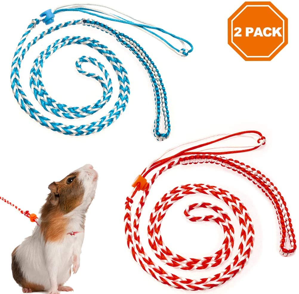 PAWCHIE - Correa ajustable para hámster, rata, hurón, ratón, ardilla, 2 unidades - BESTMASCOTA.COM