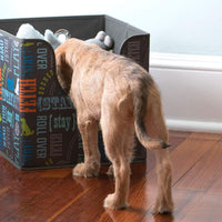 Paw Prints Products - Kit de iniciación de almacenamiento de alimentos y juguetes para mascotas, diseño de Wordplay - BESTMASCOTA.COM