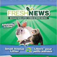 Fresh News Papelera pequeña para animales, 10.000 centímetros cúbicos - BESTMASCOTA.COM