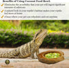 sungrow reptil bol de agua por 100% natural cáscara de coco con cáscara – tazón de comida para tortuga, serpientes, bullfrogs, pogonas - BESTMASCOTA.COM