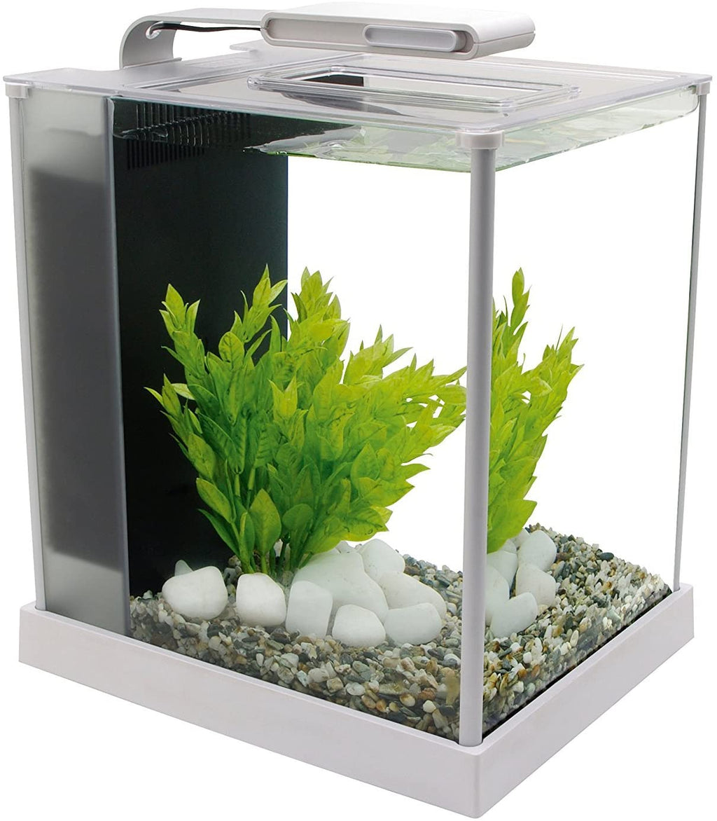 Set de acuario Fluval Spec III, 2.6 galones - BESTMASCOTA.COM