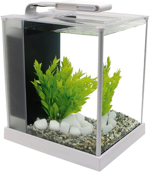 Set de acuario Fluval Spec III, 2.6 galones - BESTMASCOTA.COM