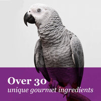 F.M. Brown's Tropical Carnival Gourmet Macaw Food Big Bites for Big Beaks, Vitamin-Nutrient Fortified Daily Diet with Probiotics for Digestive Health - BESTMASCOTA.COM