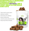 Mighty Petz 5 en 1 glucosamina masticar para perros y gatos, bonus eBook! Restaura la movilidad, evita la rigidez de las articulaciones. Hip & Joint Support Chondroitin MSM & Vitamin Treats, sin limping & Pain, Boost Energy. - BESTMASCOTA.COM