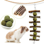 Juguetes para masticar los dientes, palitos de manzana orgánicas naturales para conejos, chinchillas, cobayas, hámsters masticando jugando mejorar la salud dental - BESTMASCOTA.COM