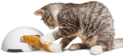 Premier Pet Fox Den Juguete para gato - BESTMASCOTA.COM