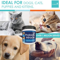 nusentia Probiotics Probiotico milagro Premium Fórmula para Wellness de apoyo para perros y gatos, 44 Gramos de polvos 120 Raciones - BESTMASCOTA.COM