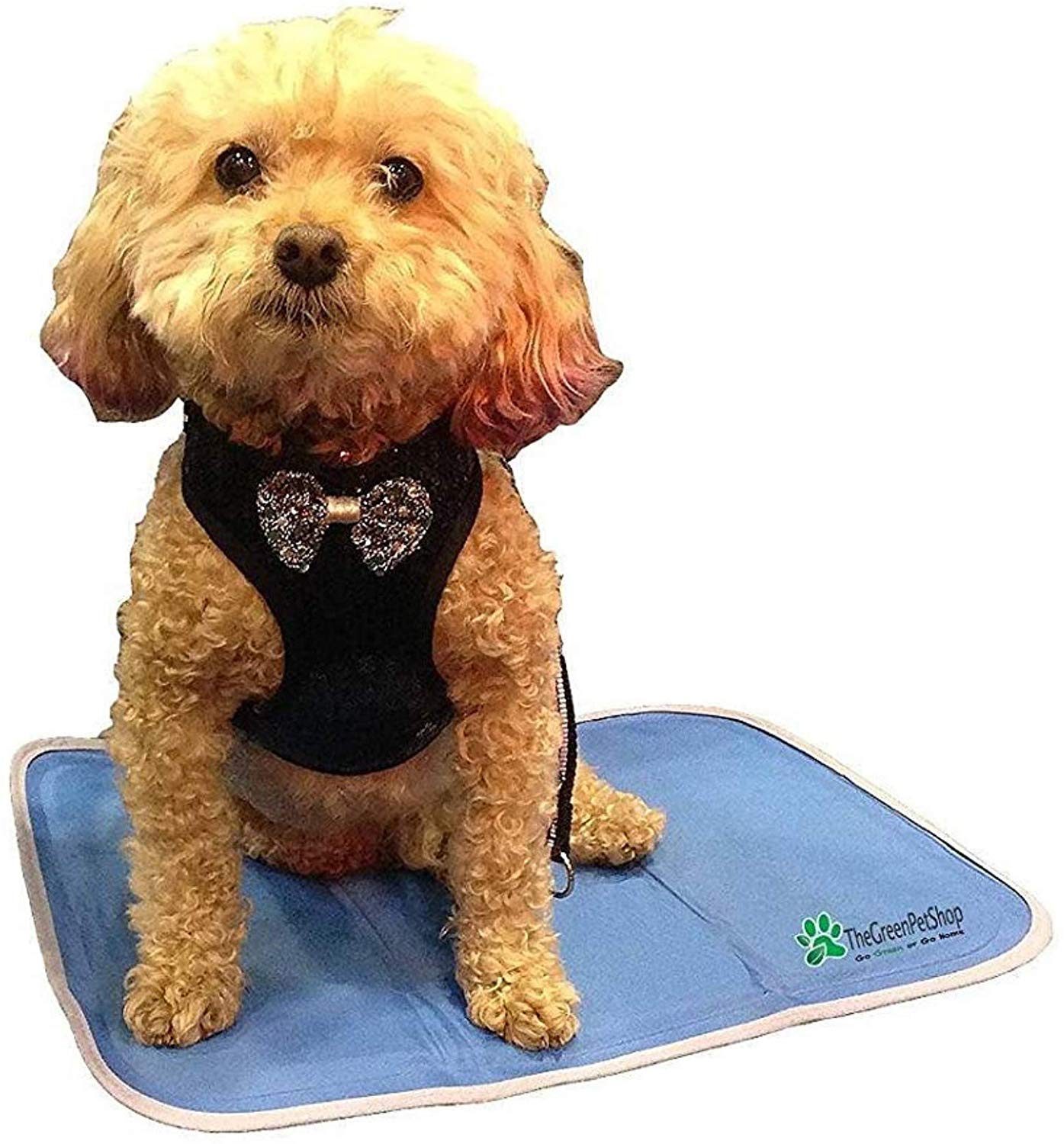 Green pet shop cooling pad best sale