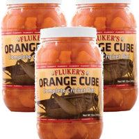Fluker 12 oz del cubeta dieta completa Cricket (3 unidades), color naranja - BESTMASCOTA.COM
