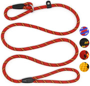 Correa Coolrunner collar de entrenamiento para mascota de Cesar el encantador de perros - BESTMASCOTA.COM