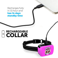 Collar pequeño para perro recargable, antiladridos para perros pequeños – el más pequeño más humano para dejar de ladrar – el collar de entrenamiento de perro sin corteza de choque impermeable – Dispositivo seguro de control de corteza para mascotas - BESTMASCOTA.COM