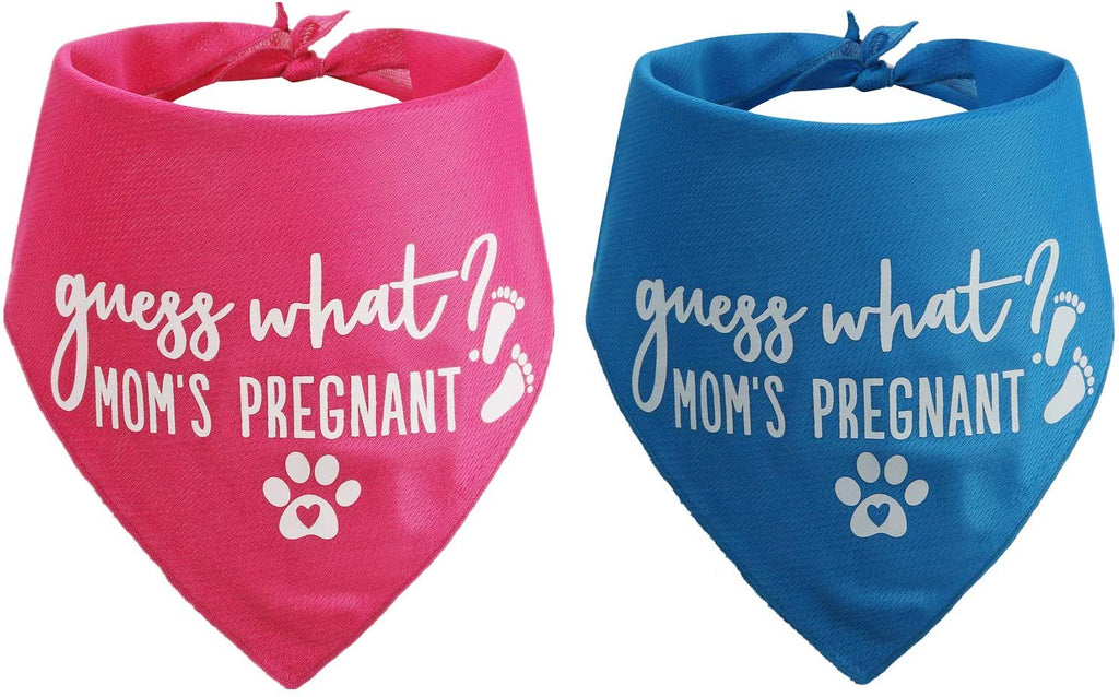 ¿Adivina qué? My Mom is Pregnant - Bandana para perro (2 unidades) - BESTMASCOTA.COM