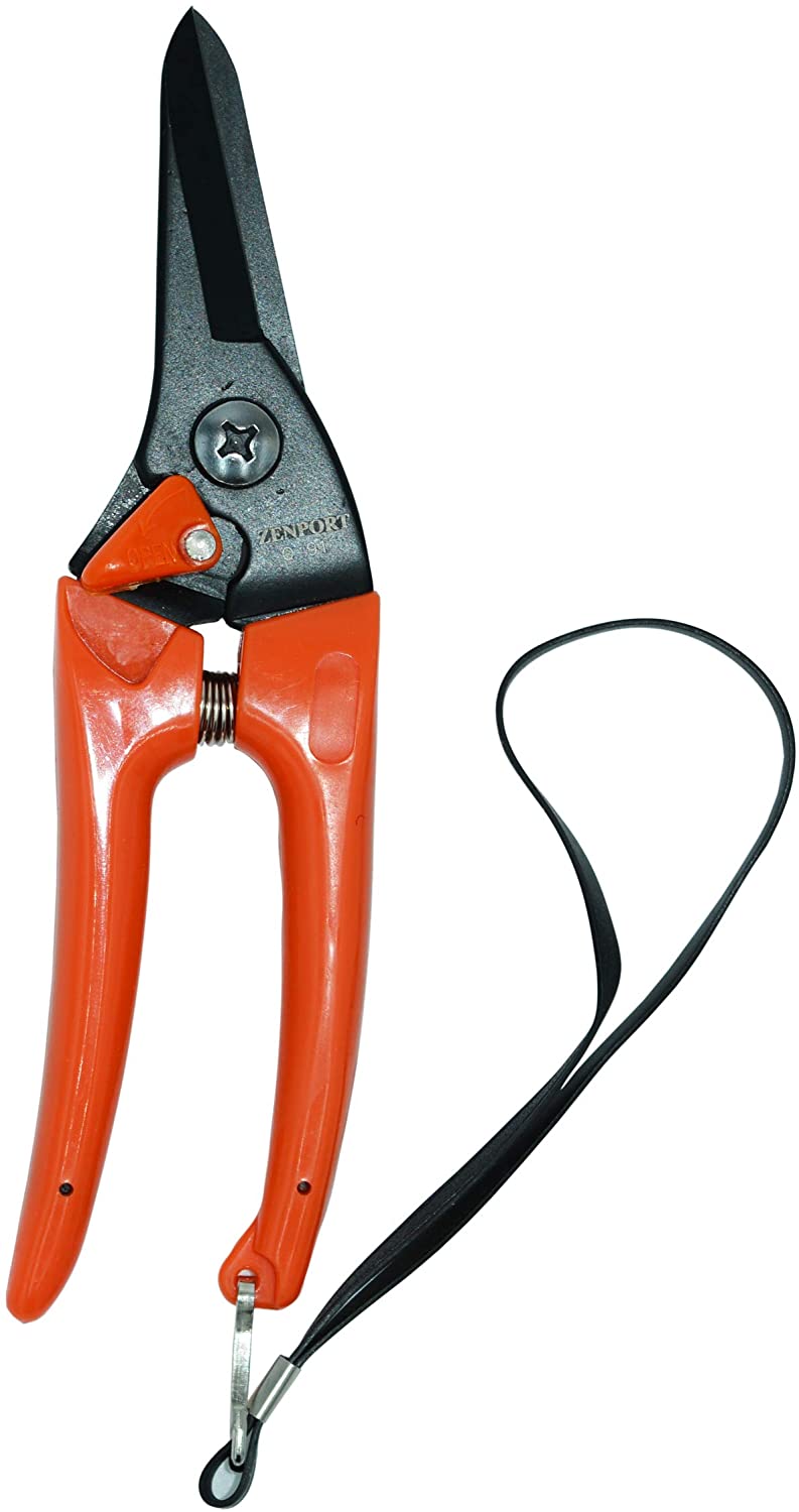 Zenport Q91, 1 - BESTMASCOTA.COM