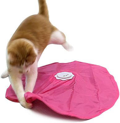 Blackhole Catch The Tail - Juguete para gato - BESTMASCOTA.COM