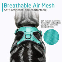 rabbitgoo Cat Harness and Leash Set for Walking, Escape Proof Adjustable Soft Vest for Large Cat Small Pets, Reflective Strip Metal Clip Ring Outdoor Cat Jacket Harness with 2 Long Cat Leashes - BESTMASCOTA.COM