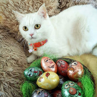 Boombone Collar de gato de Pascua con campana, collar de cachorro naranja para perros pequeños - BESTMASCOTA.COM