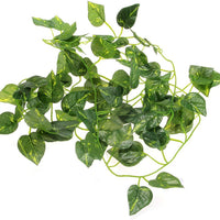 FACILLA Artificial Scindapsus vid para reptiles Lagarto camaleón Habitat decoración verde - BESTMASCOTA.COM