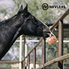 Nevlers 2 Pack All Natural Pure Himalayan Salt Licks for Animals - Great for Horses, Cows, Deer, and Other Livestock - Ropes Included - 4.5-6.5 lbs Each - BESTMASCOTA.COM