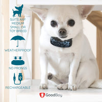 GoodBoy - Collar pequeño para perros pequeños y medianos, resistente a la intemperie y vibrante, con dispositivo de entrenamiento antiladrillos que es el más pequeño y seguro en Amazon – ¡sin choques ni pinzas con pinchos! (6+ lb) - BESTMASCOTA.COM