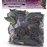 Fluker Coleus Repta Vines Púrpura para Reptiles y Anfibios - BESTMASCOTA.COM
