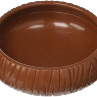 Lee 's plato de gusanos - BESTMASCOTA.COM