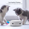 VAVA - Juguete interactivo de plumas para gatos, electrónico, para gatos, con cambio automático de dirección, estimula al azar las lentes de los gatos e instintos con plumas de Turquía (batería AA incluida) - BESTMASCOTA.COM