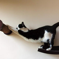 Art of Paws - Cama de perca para gato con diseño de hamaca de gato curvado, elegante mueble de madera montado en la pared, un regalo para tu gato - BESTMASCOTA.COM